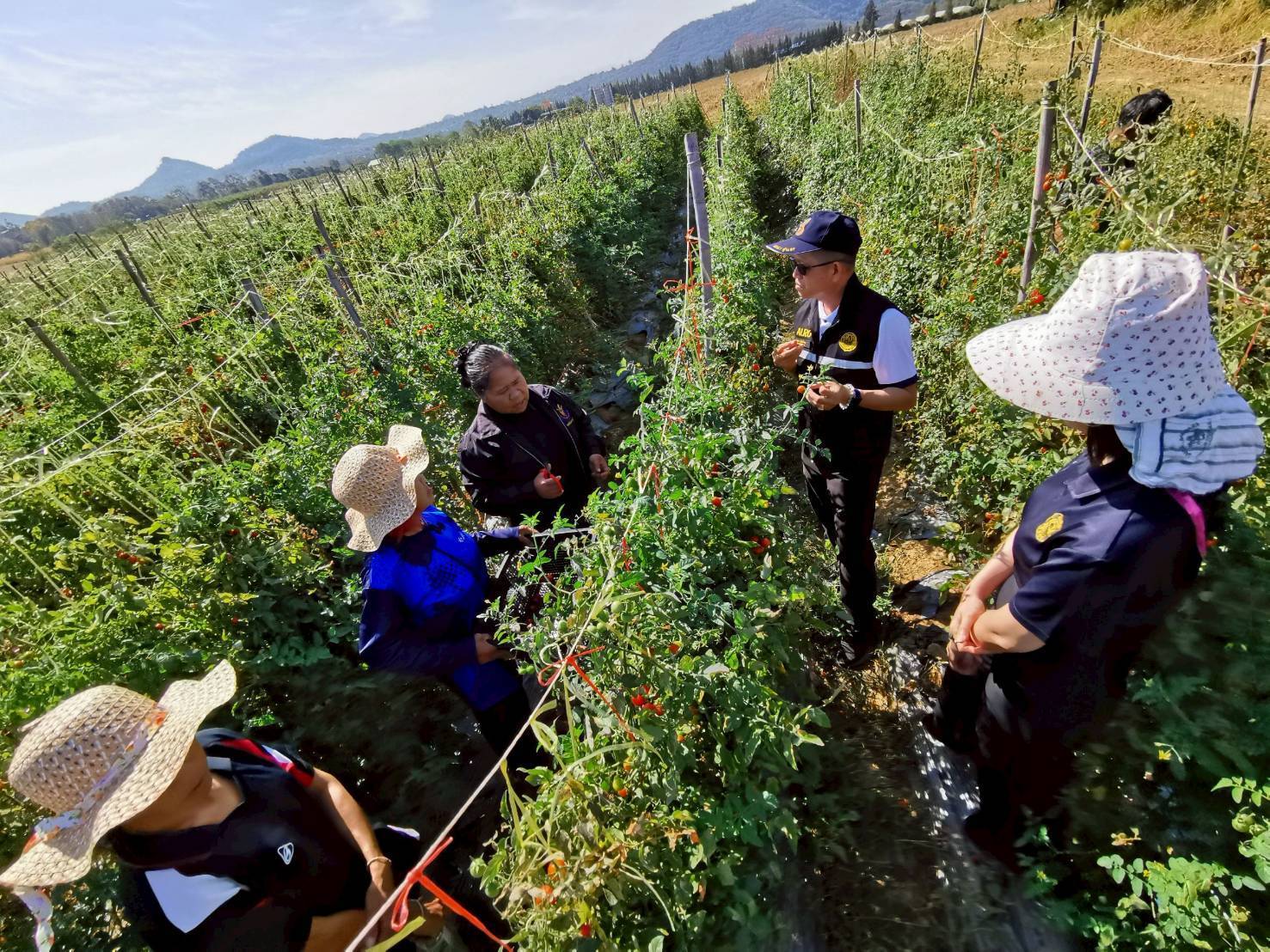 title - ผู้ตรวจราชการ ส.ป.ก. ลงพื้นที่ตรวจเยี่ยมและให้กำลังใจกลุ่มเกษตรกรในเขตปฏิรูปที่ดินอำเภอมวกเหล็ก จังหวัดสระบุรี และประชุมตรวจติดตามความก้าวหน้าผลการดำเนินงานตามแผนการตรวจราชการ ประจำปีงบประมาณ พ.ศ. 2569 รอบที่ 1 เขตตรวจราชการที่ 1 จังหวัดสระบุรี 